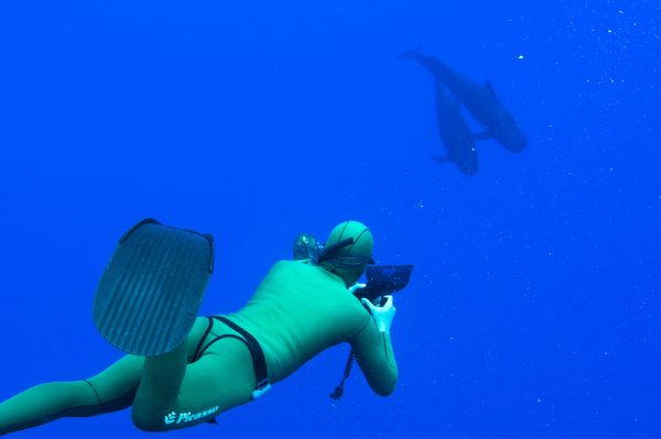 two divers under water